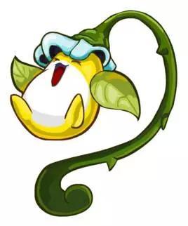 最适合孕妇吃的7大最佳食物,孕妇必吃的7种食物