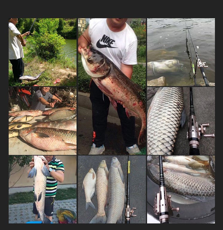 鱼竿中的超级*器武**superweapons