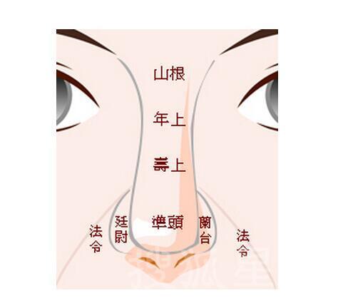 富贵鼻型面相图解大全,面相中的十大鼻型你属于哪种呢
