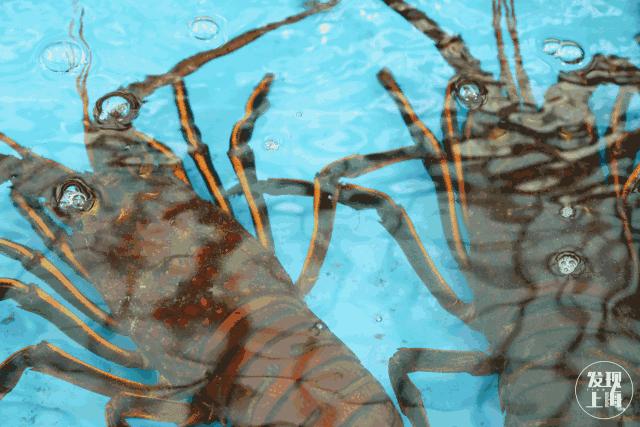 90多年前的上海菜市场,上海浦东新区最大的菜市场