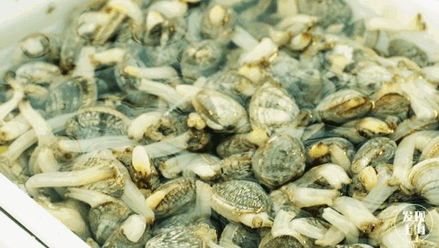 上海老浦东菜场,上海最大的菜市场有哪几个