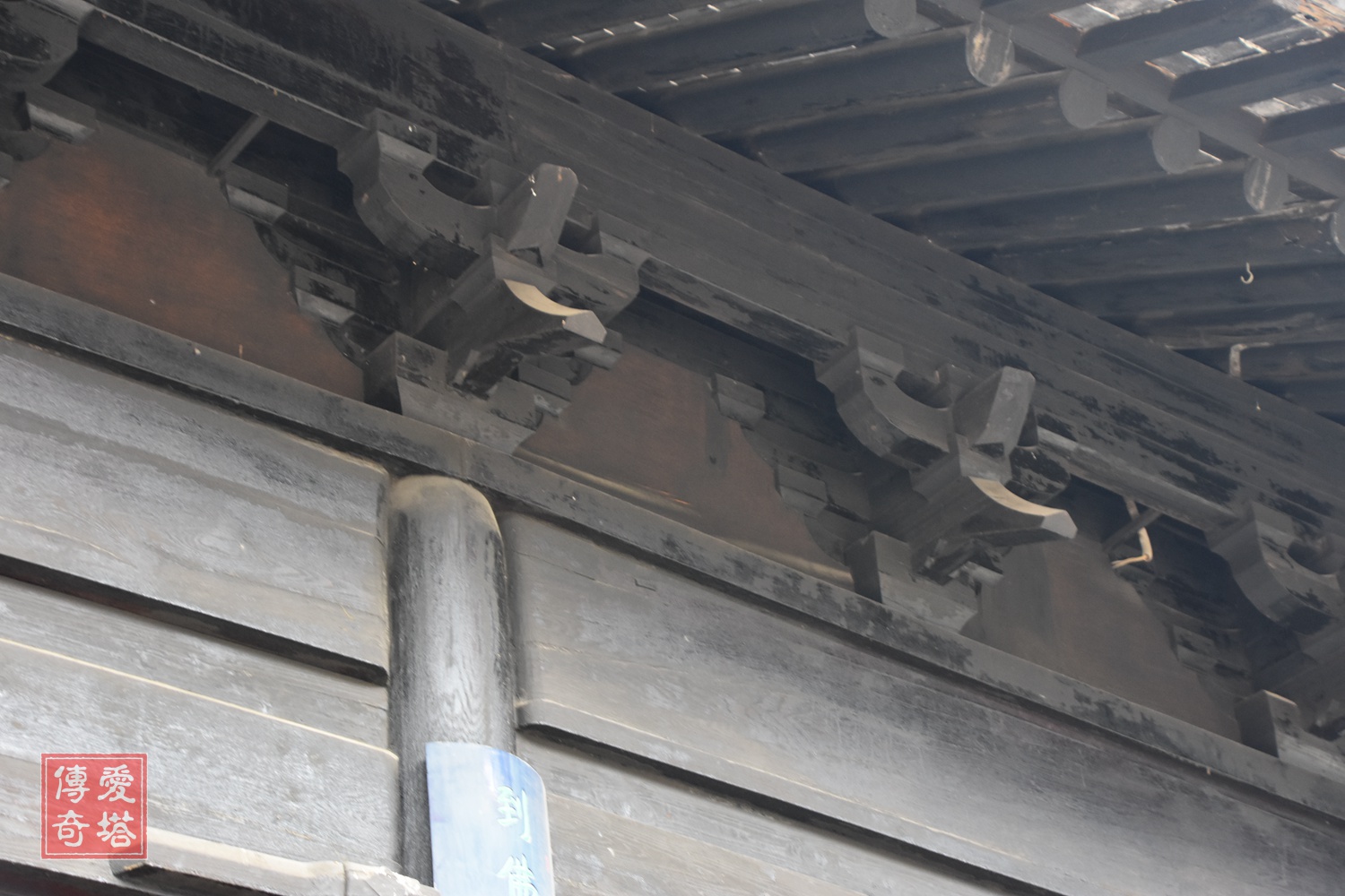 上海真如寺元代大殿,上海普陀真如寺大殿