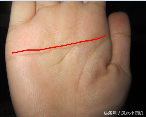 据说手相的掌纹决定你的命,手相有哪些特殊的掌纹