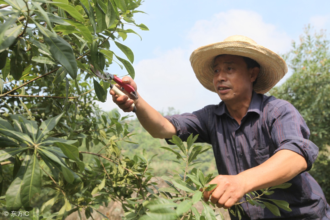 农村创业项目成功的两个必备条件,农民缺钱怎么办