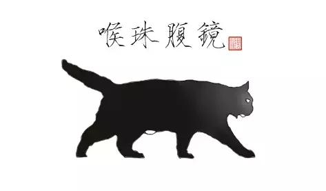 猫谱:因相成名,因名成谱《蓝毛毛找猫》24:猫出有名