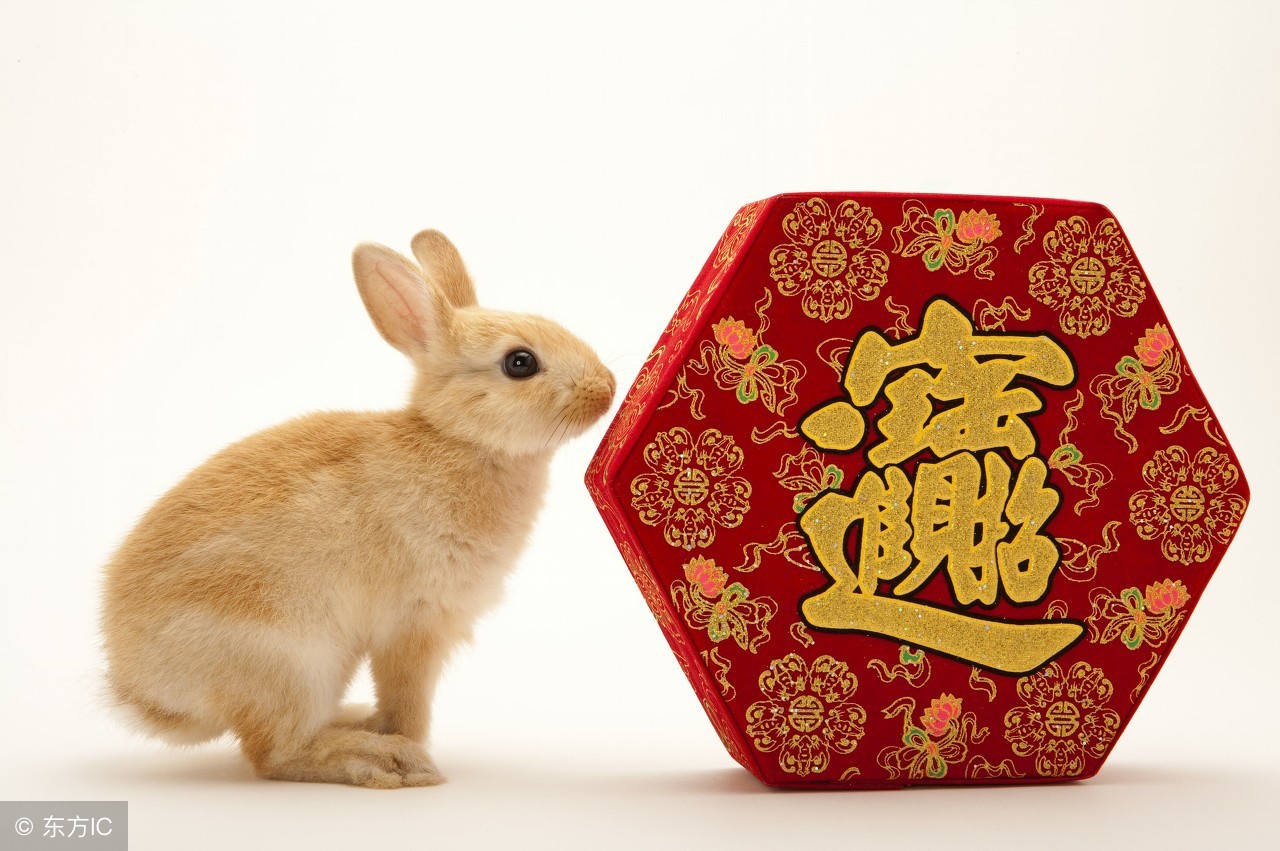 这几个生肖是一辈子的夫妻,这几对生肖是模范夫妻