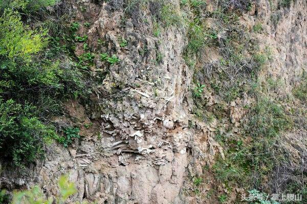 北朝壁画墓发现及考古始末,北朝考古博物馆纪录片