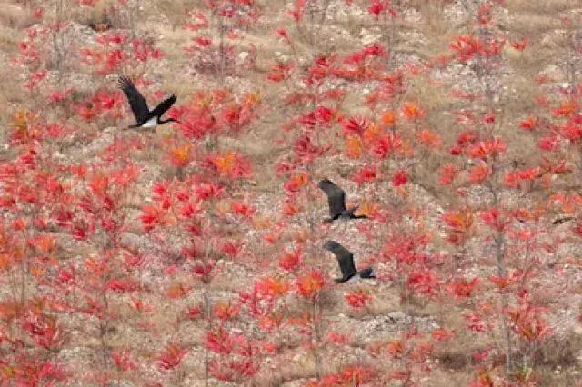 水映京城：千年古都水之梦