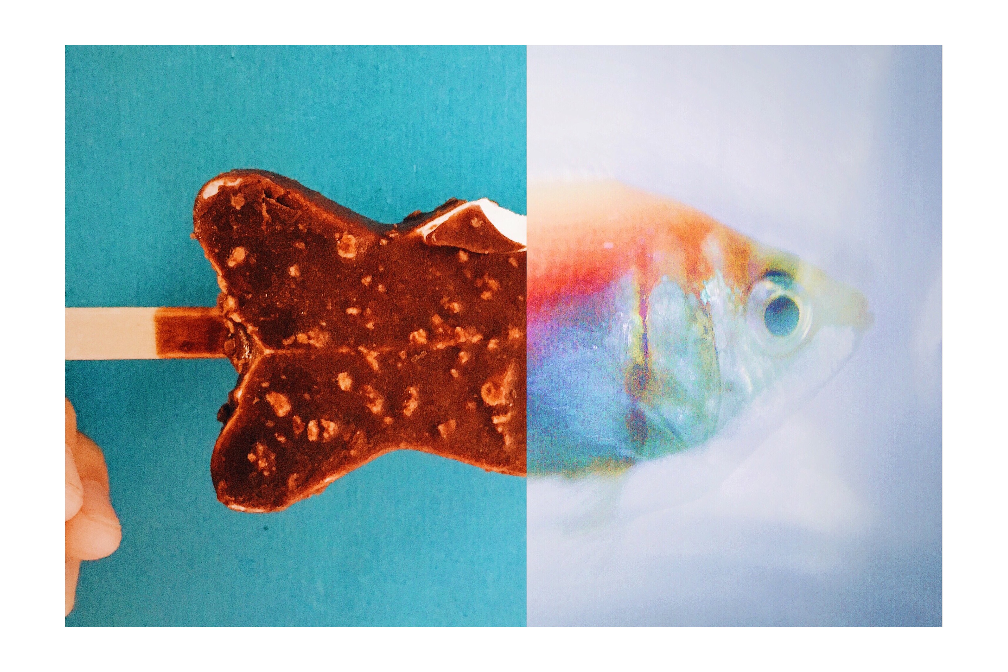 用什么app能拍出高级的照片,教你用手机拍出美哒哒的照片