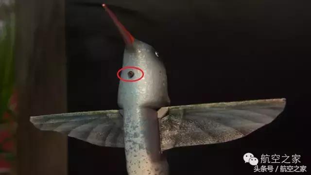 小至指间，大至鲲鹏，未来的无人机世界—“商机、杀机、无人机”