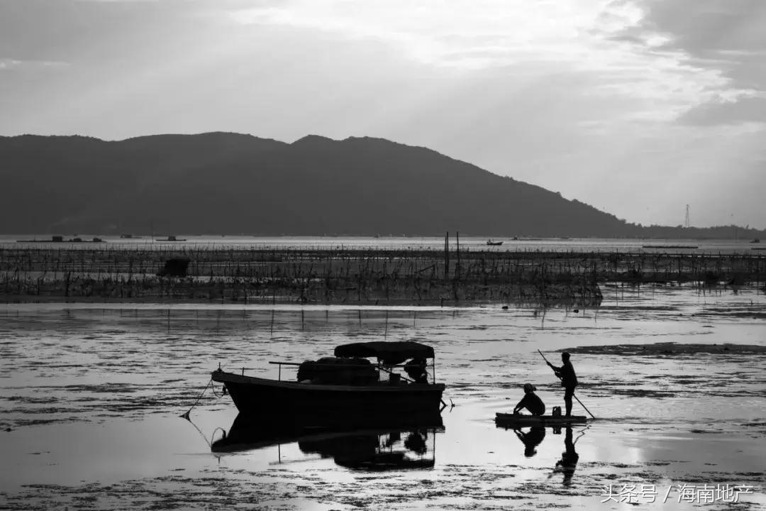 谢谢你爱我|清水湾：曾经的远方，如今的归途