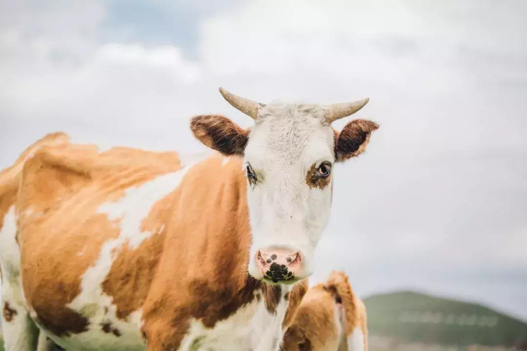 追星旅游记,追星大环线日记