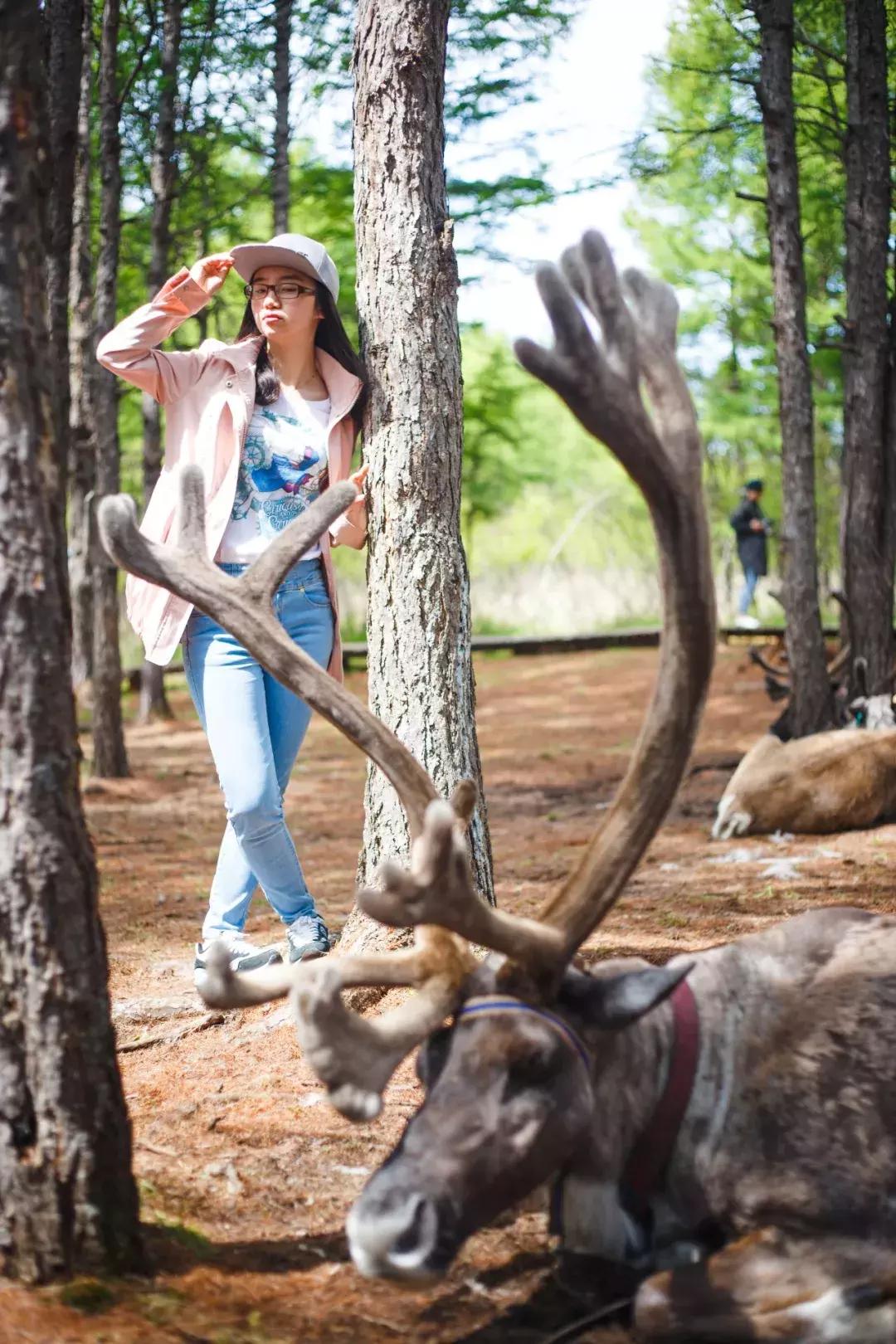 追星旅游记,追星大环线日记