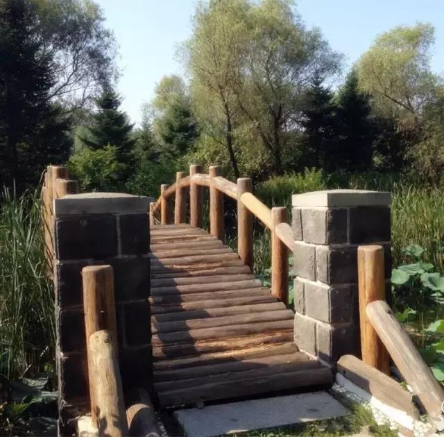 春暖花开微风吹来,春暖花开吹来阵阵花香