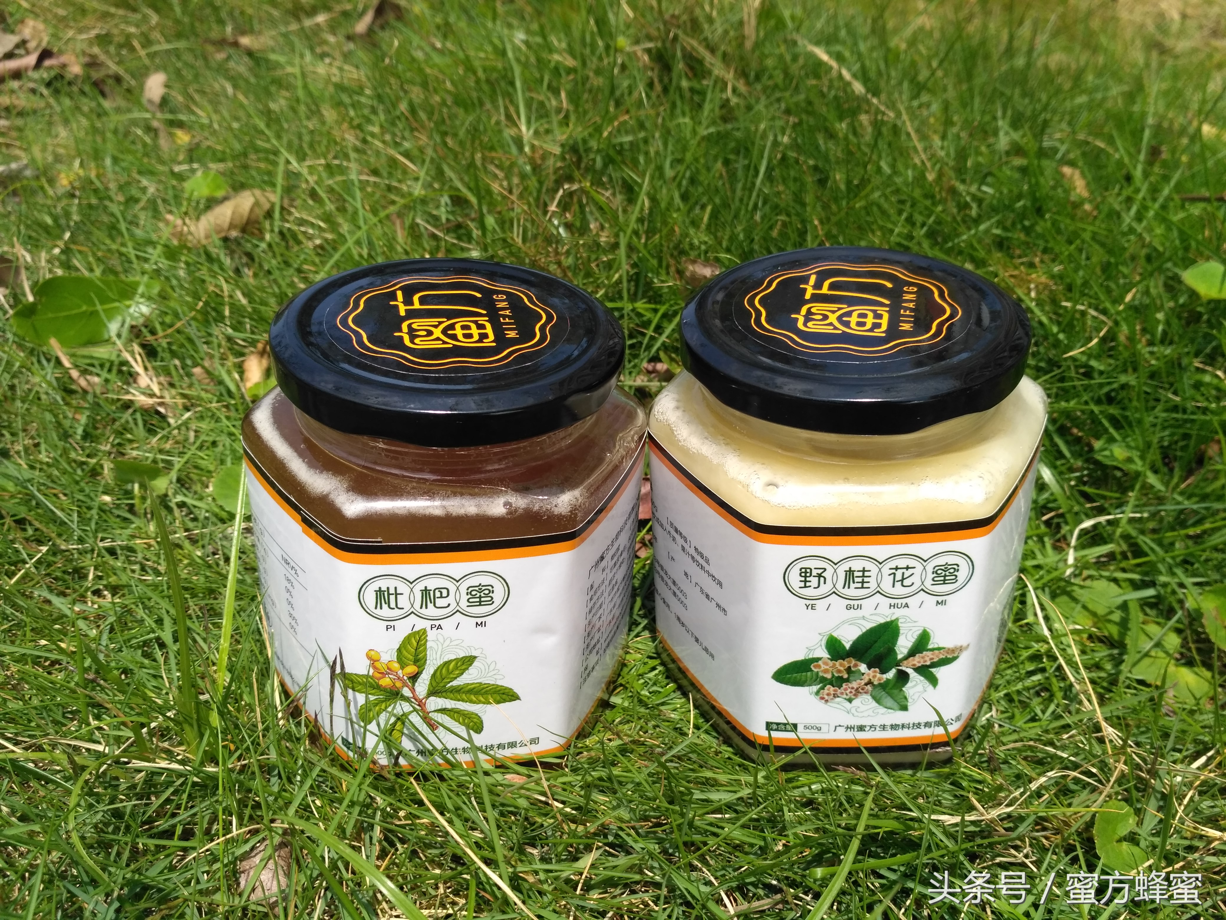 9.9元蜂蜜假的,9.9包邮的蜂蜜是真的吗