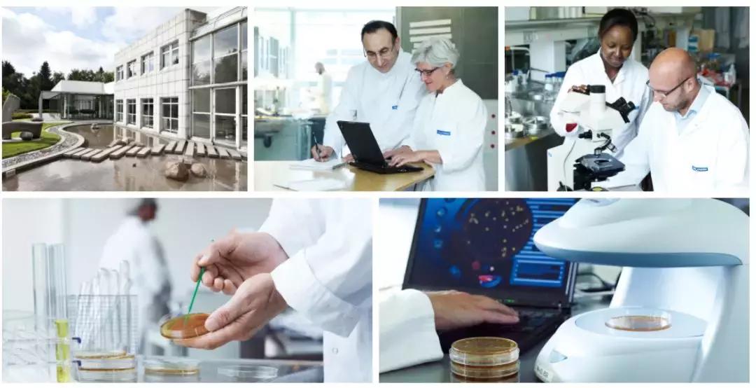 选对益生菌不交智商税,选对益生菌不会生病