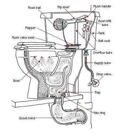监理说带你了解厕所的前世今生