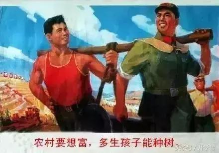 开放三胎还是三孩,开放三胎孩子读书是什么政策