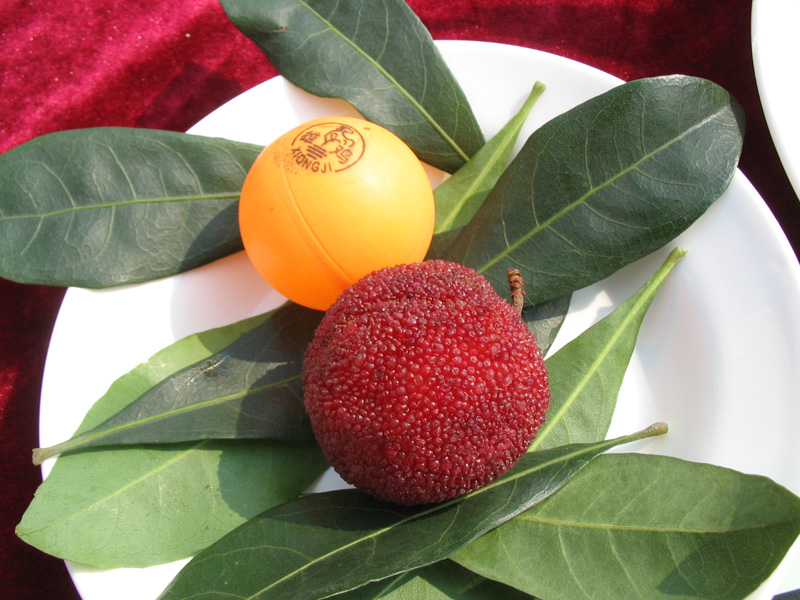 美丽浙江——青田县