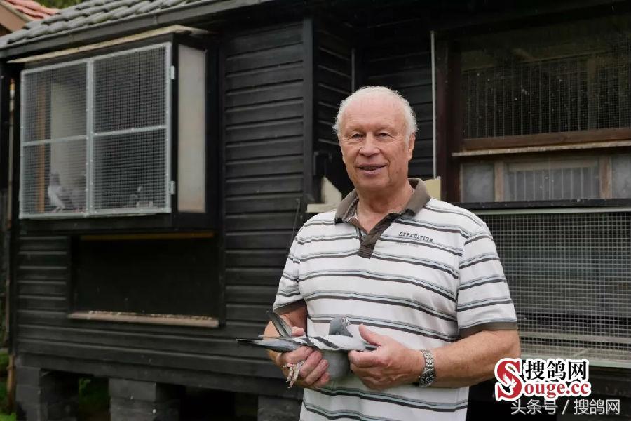 搜鸽网信息,赛鸽资讯知识分享