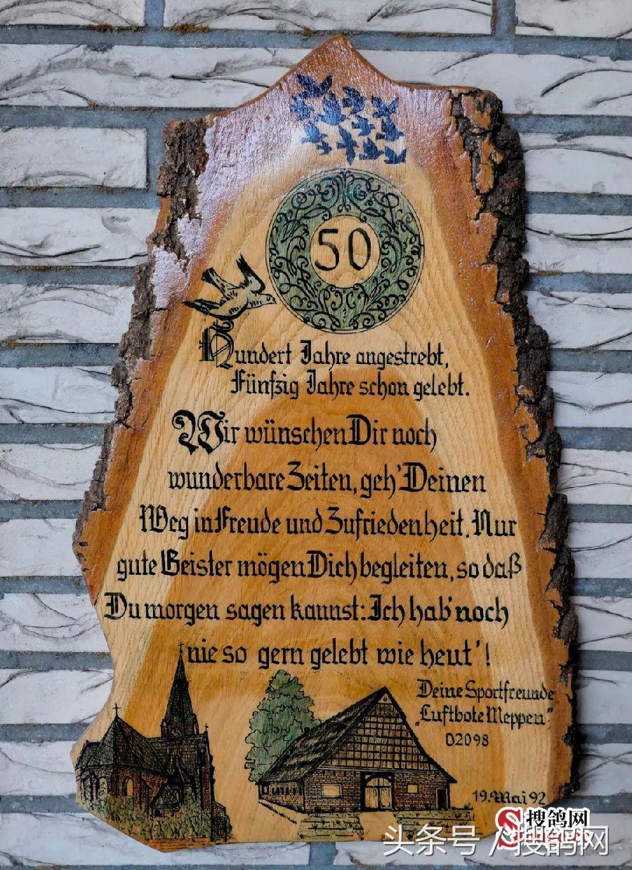 搜鸽网信息,赛鸽资讯知识分享