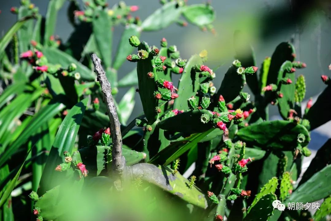 中山纪念中学100周年校庆,中山纪念中学80周年校庆