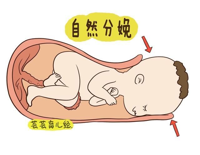 顺产与剖腹产的深度对比分析,顺产与剖宫产对比