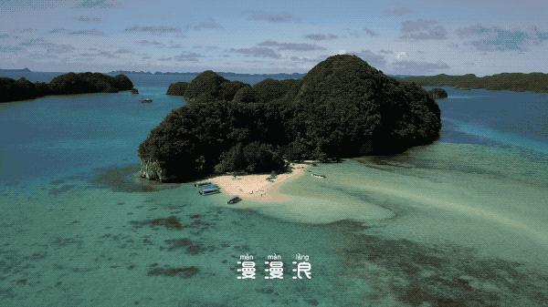 帕劳攻略详细教程,帕劳吃喝玩乐攻略