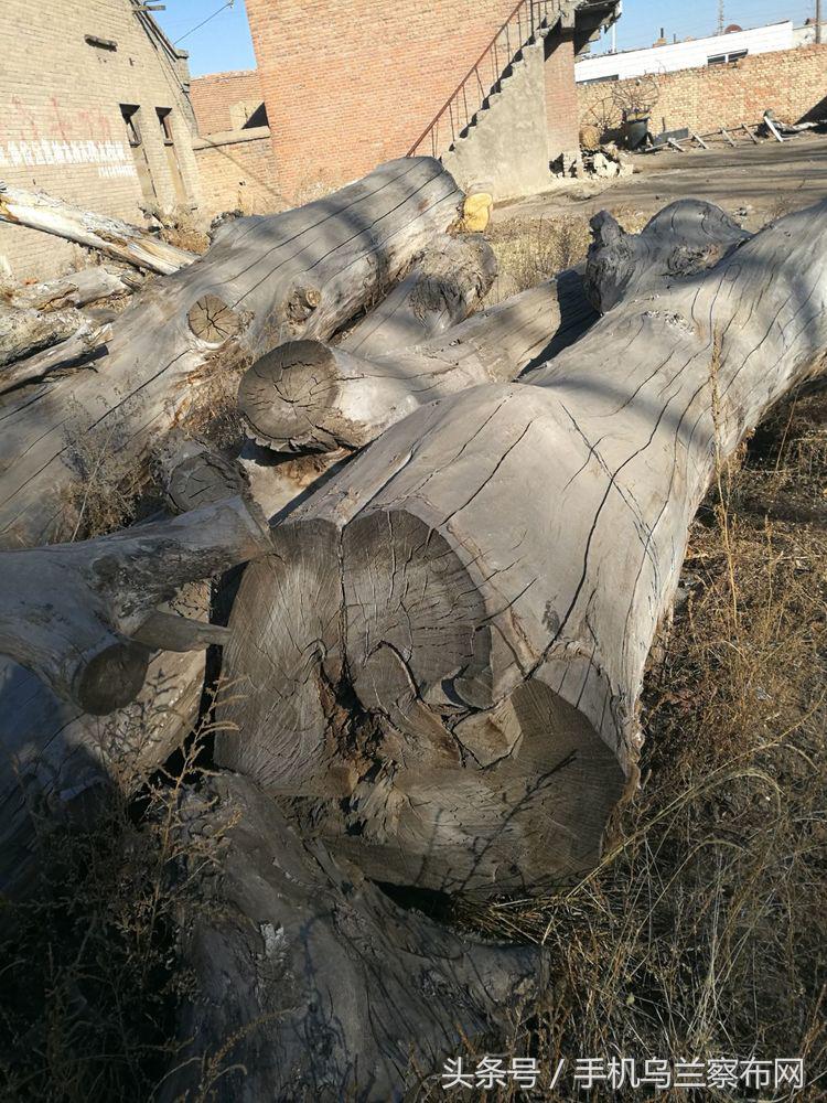 老集宁的回忆,老集宁的历史