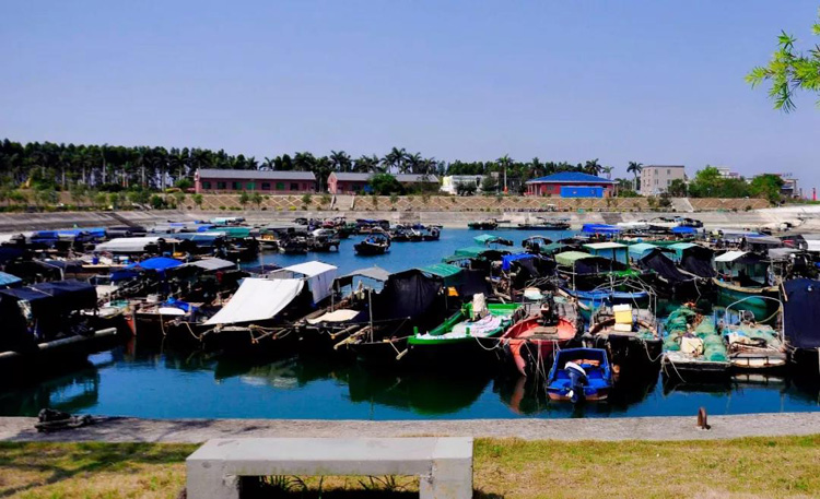 春风十里，不如花开万株！周末去哪？带你玩转特呈岛！