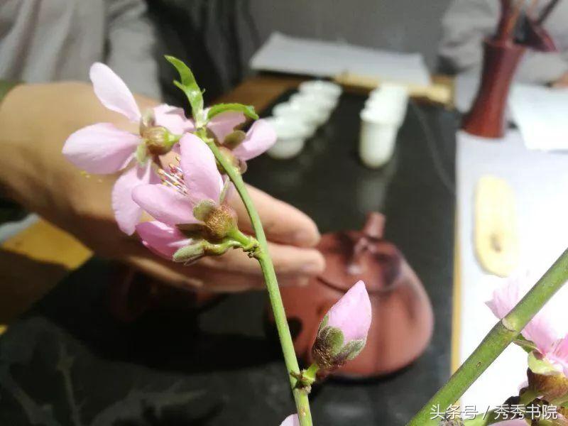 灵枢根结,黄帝内经灵枢根结全文