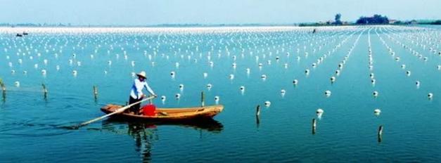 珍珠的产地决定珍珠的价值吗?外国的珍珠一定比中国好吗?