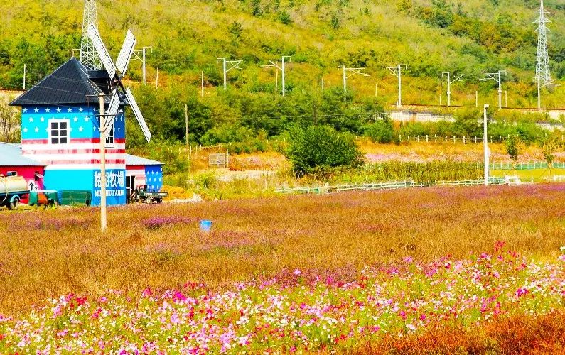 大连又好玩又拍照好看的地方,大连有什么拍照的好去处