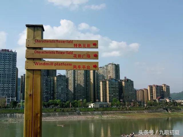 雅安桃花岛桃花开了没有,雅安桃花岛景区