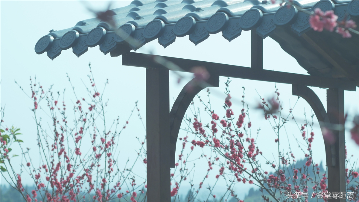 金堂玉皇山生态康养,金堂县玉皇养生谷详细介绍