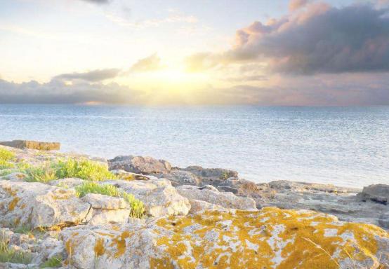 出国旅游可以退货吗,出国旅游帮亲戚买东西