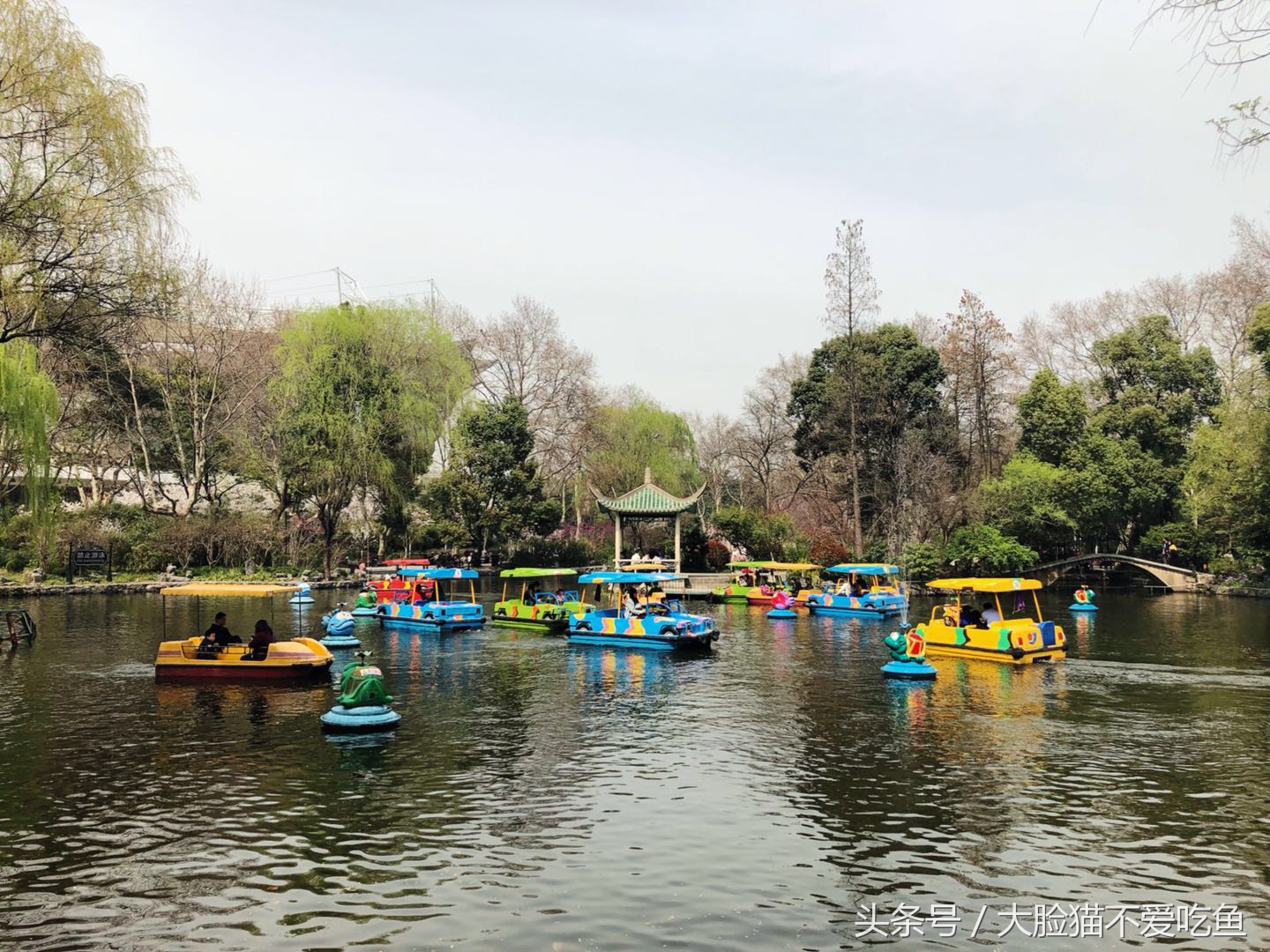 上海都市频道我和春天有个约会,与春天来个最美的约会