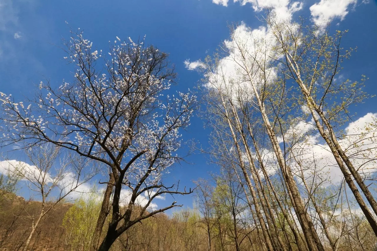 易县云蒙山皇家森林公园附近爬山,易县周边适合带孩子爬山的地方