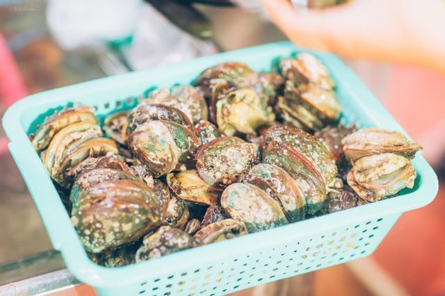 黑妹胖胖旅游记,三亚胖小六5天4晚自由行团报价