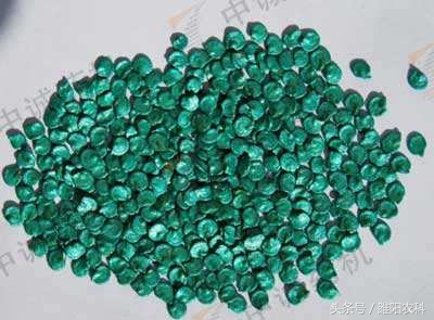 育苗间苗补苗方法,做好选苗育苗大文章