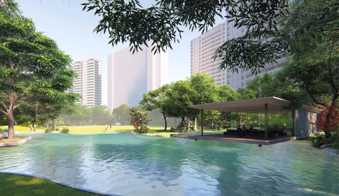 5万㎡大树草坪！金融区森林豪宅，它或是“世界杭”又一张新名片