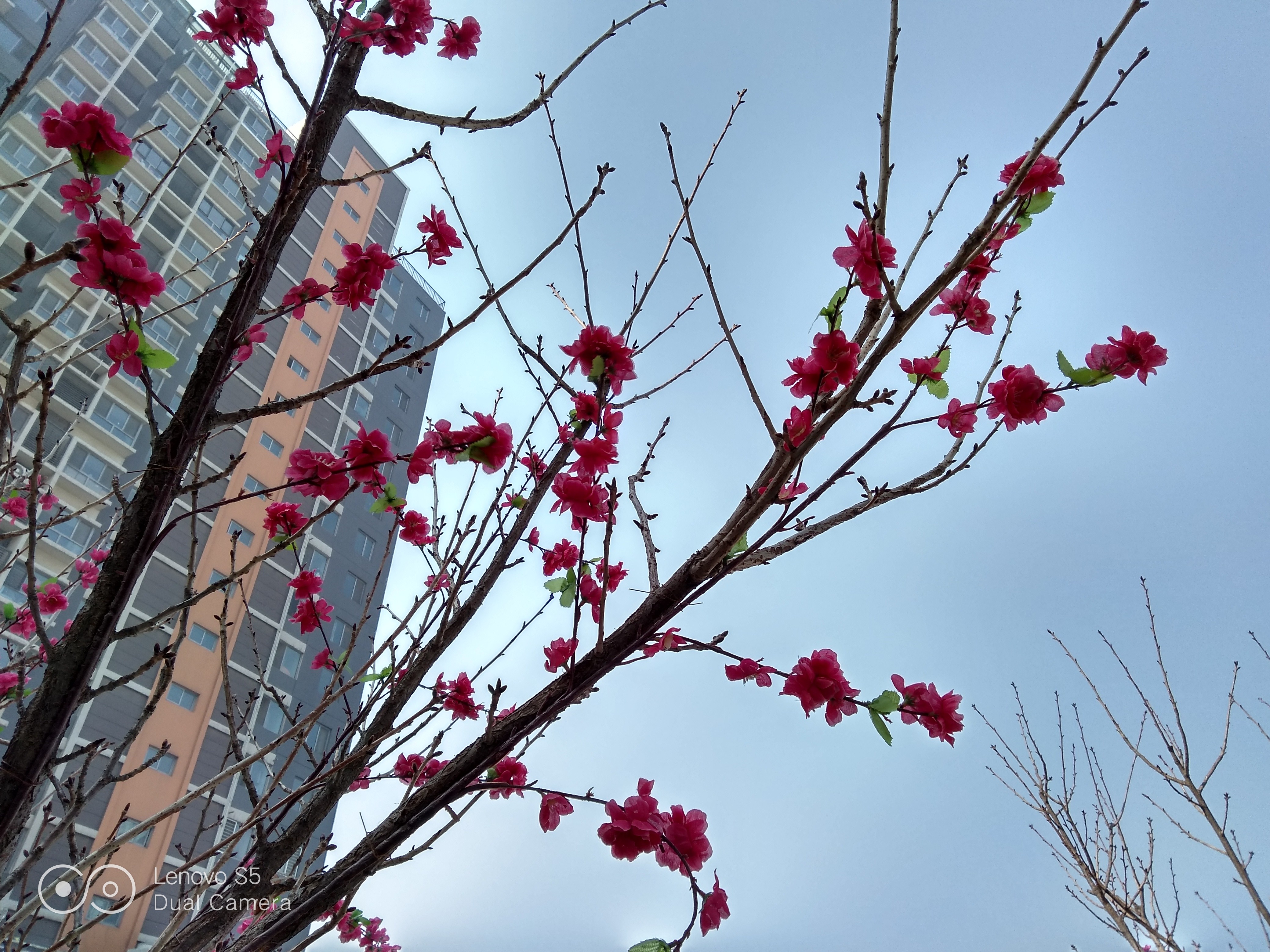 联想s5手机怎么样,讲究产品的性价比