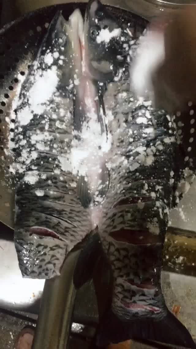 四川正宗麻辣烤鱼做法,四川麻辣烤鱼正宗做法