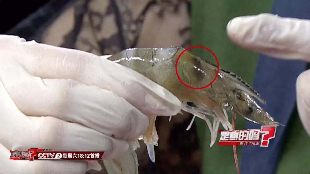 教你快速去除虾线,怎么挤虾线和内脏