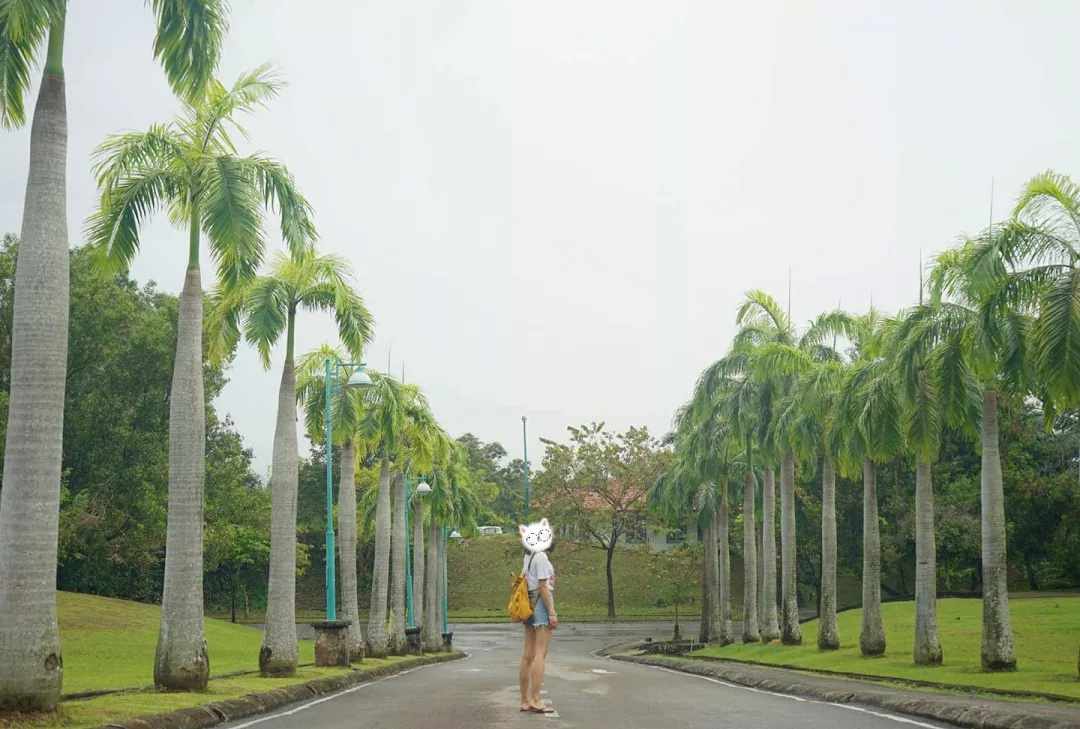 仙本那和印度尼西亚潜水哪个更好,仙本那世界潜水圣地