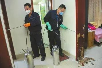 这个可怕的虫子即将开启“春季攻势”，小心被它吃掉你的家......