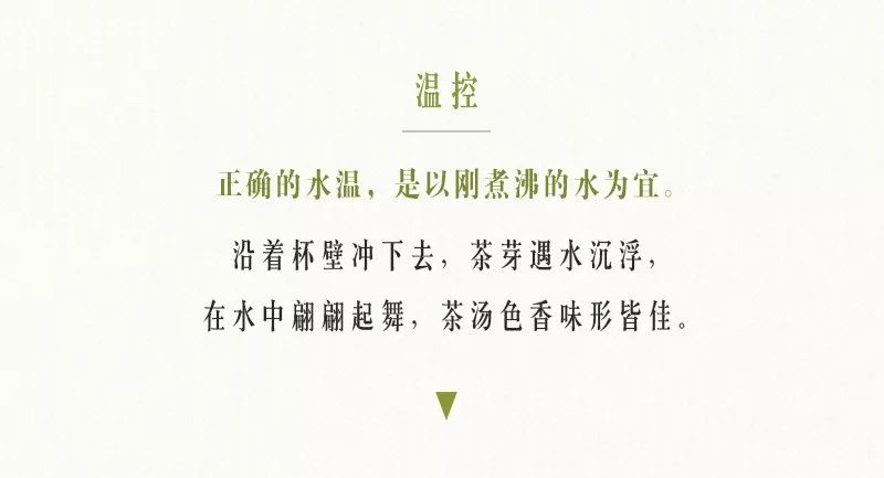 解锁春茶的多种冲泡方式,春茶上市的正确冲泡方法