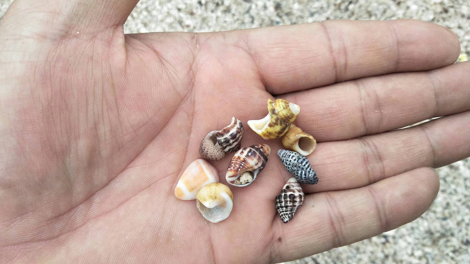 儋州最美海湾古盐田,海南儋州龙门激浪五彩湾