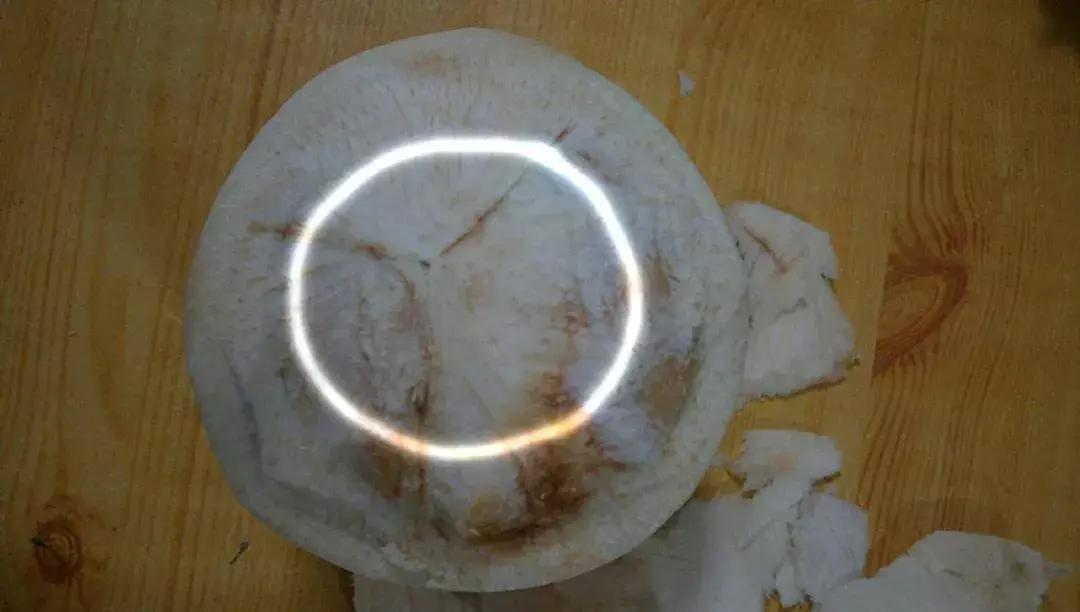 小刀开椰子最简单的方法,不用菜刀的开椰子的方法