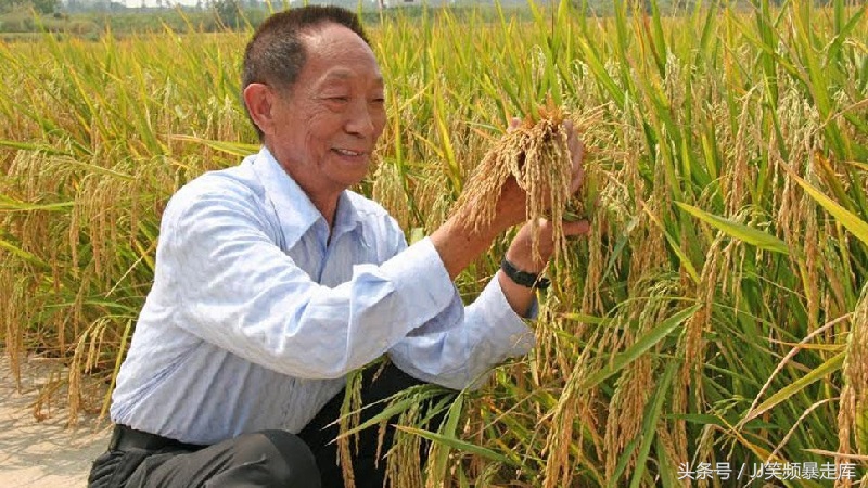 3分钟带你了解历史中国四大发明,五分钟了解中国四大发明